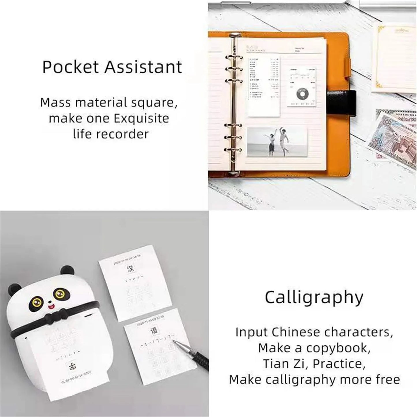 Panda Mini Printer - Fun, Learn and Make Memories